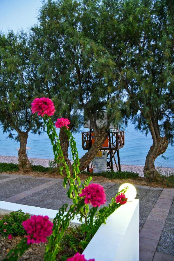 Aliki Studios Paralia Agias Foteinis Luaran gambar