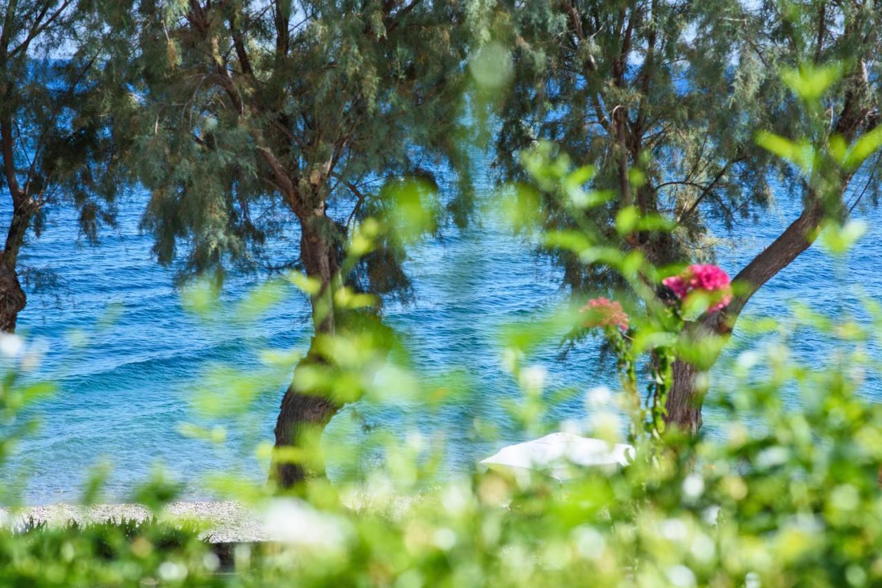 Aliki Studios Paralia Agias Foteinis Luaran gambar